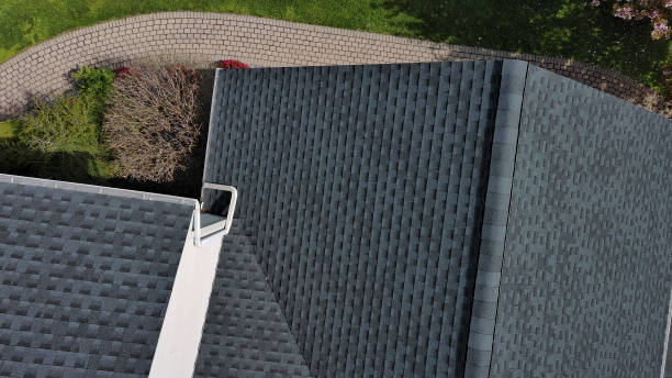 Best Roof Moss and Algae Removal  in Waupaca, WI