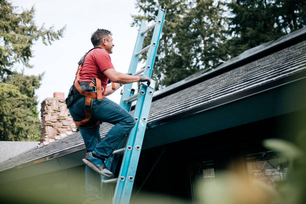 Best Skylight Installation and Repair  in Waupaca, WI