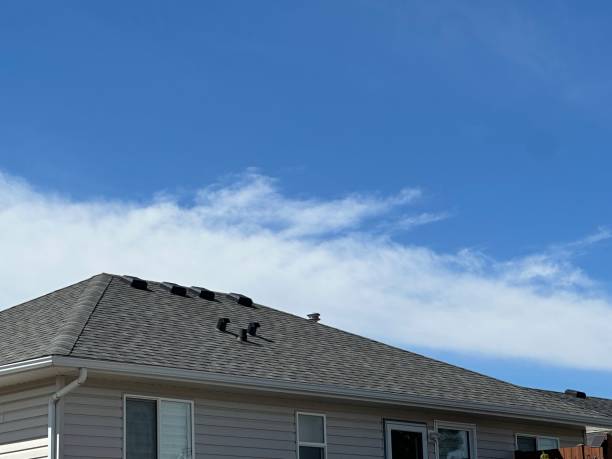 Sheet Metal Roofing in Waupaca, WI